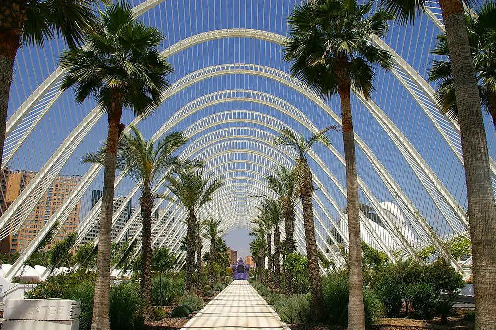 Who is Santiago Calatrava? - Things to do in Valencia
